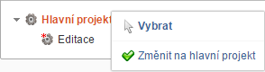 Hlavní projekt